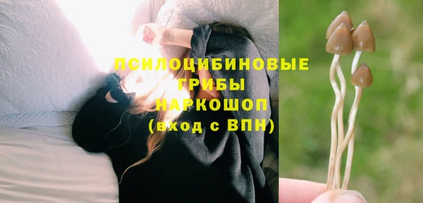 2c-b Михайлов