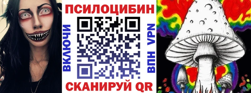 Псилоцибиновые грибы Psilocybine cubensis  Яранск 